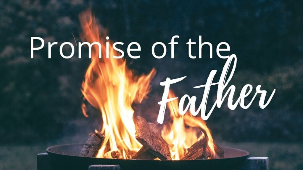 promise of the father
